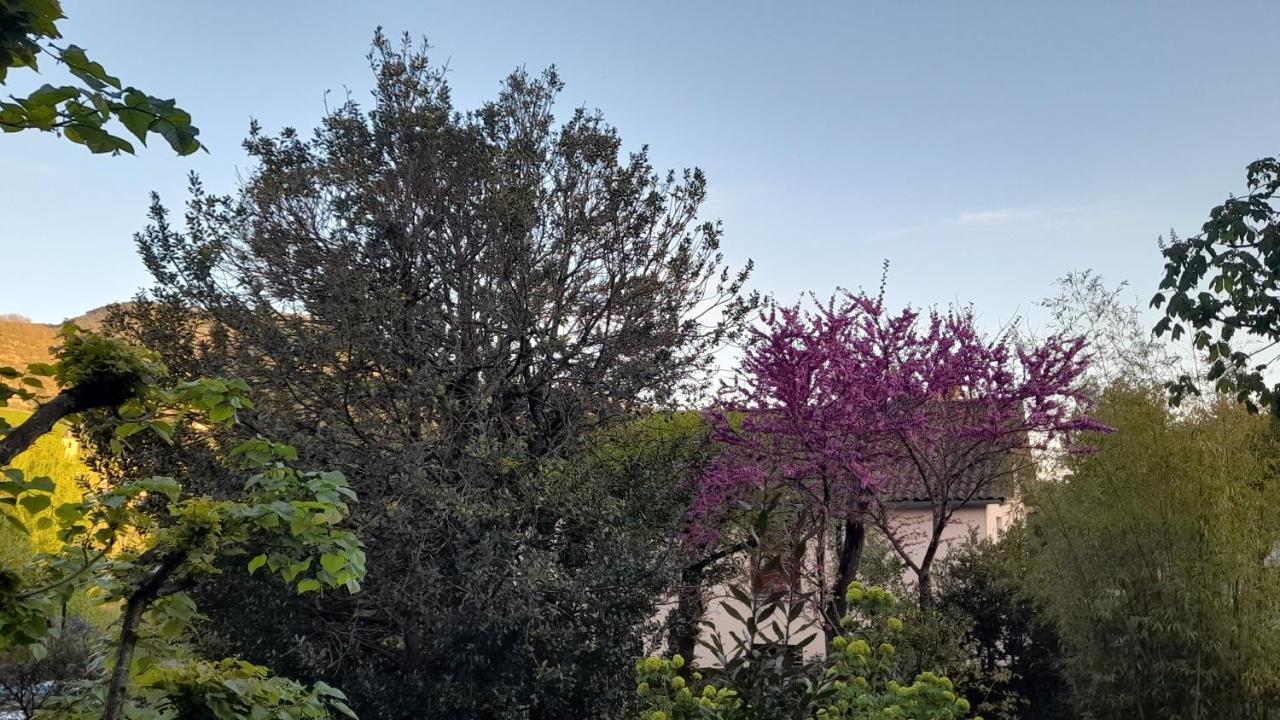 Le Gite Du Tarn Aguessac Exterior photo