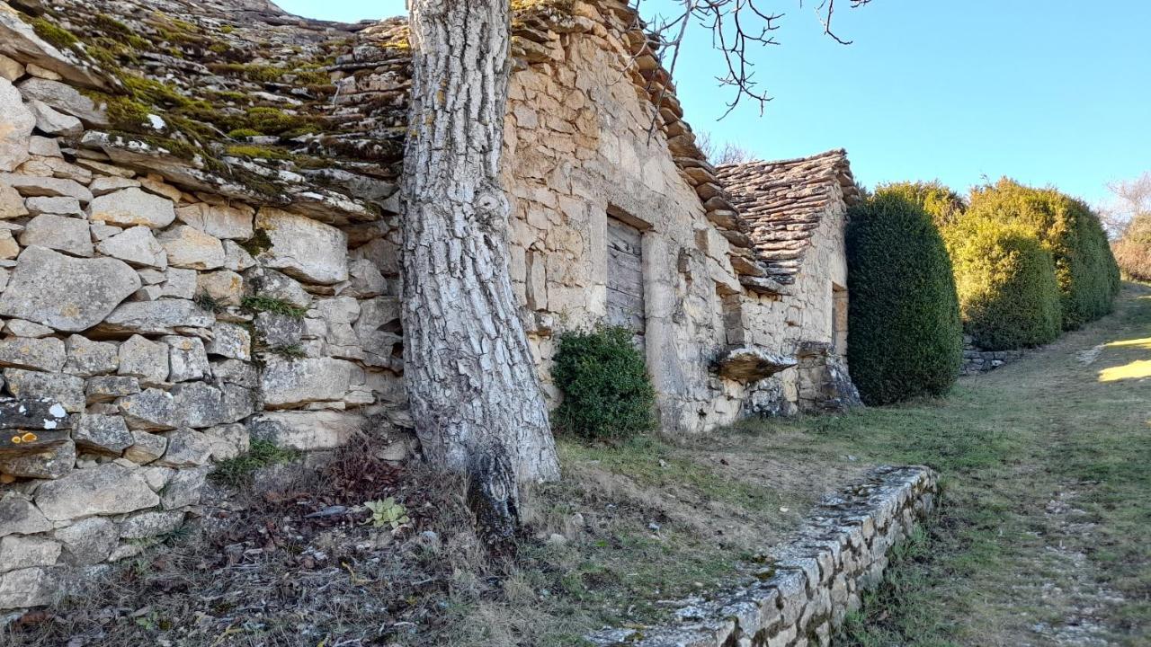 Le Gite Du Tarn Aguessac Exterior photo
